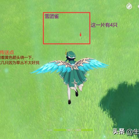 深入探秘四方动物城：全方位揭晓各类动物的独特介绍与生存习性