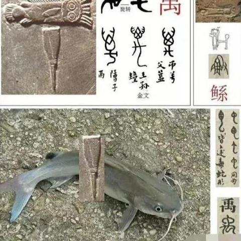 在哪里可以接到QQ华夏手游转生任务？寻找转生任务接受地点的详细指南