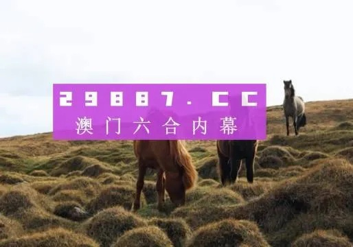 2023澳门今晚开奖记录图|深入理解各种问题的解决方案_冒险版2.649