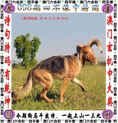 澳门四不像图片大全今晚|全面了解最新正品的解答与应用_复古款.3.406