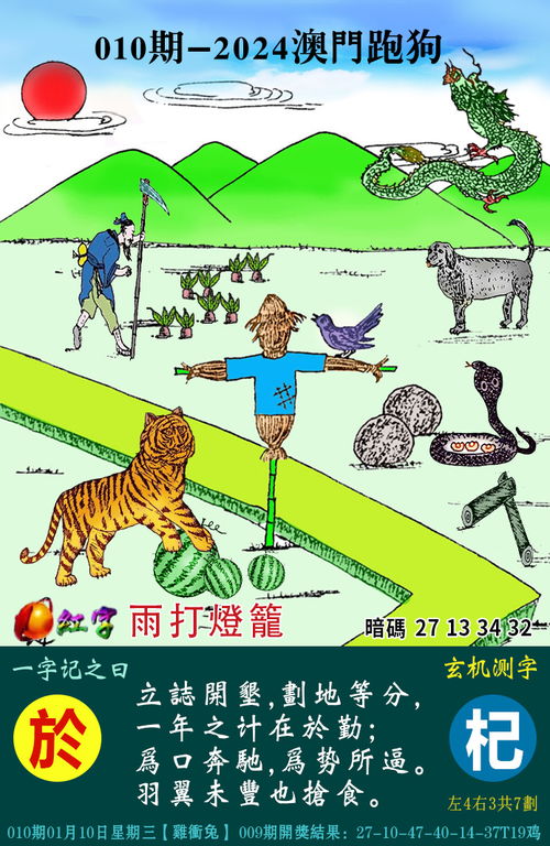 2024正版资料澳门跑狗图|广泛的关注解释落实热议_转变集.8.957