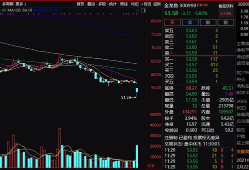 25049.0cm新奥彩40063|多方面的支持计划与实施_forest最新版.6.744