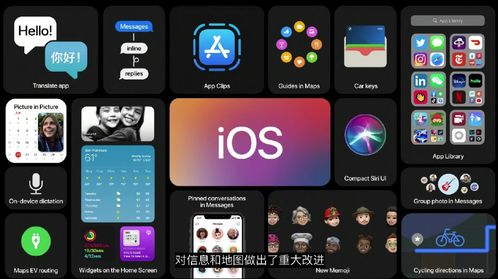 自暴自弃的人成为乍得ios下载安装-自暴自弃的人成为乍得完整版手游下载v.7.72 自暴自弃的人成为乍得ios下载安装-自暴自弃的人成为乍得完整版手游下载v.7.72
